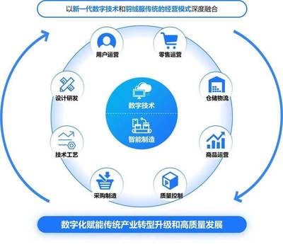 構(gòu)建高效、可持續(xù)的數(shù)字生態(tài)系統(tǒng) 標(biāo)桿項(xiàng)目實(shí)施辦法與數(shù)字技術(shù)服務(wù)路徑